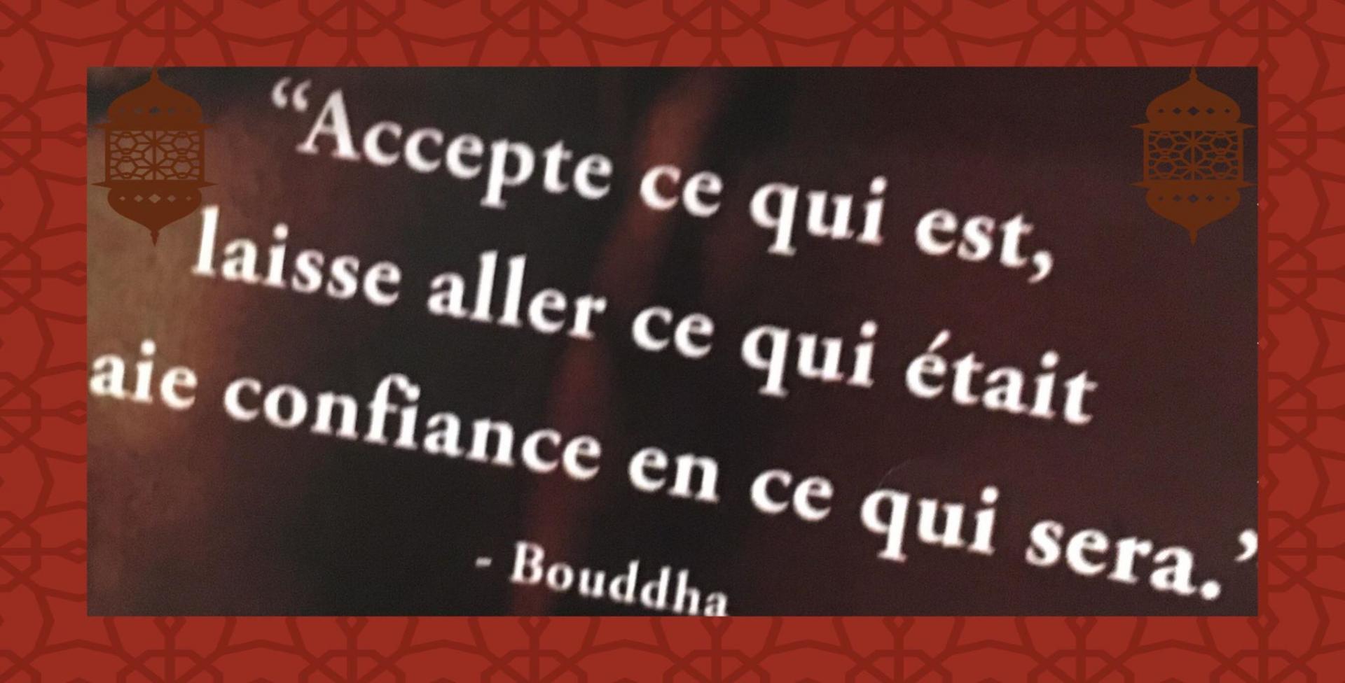 Citation Bouddha 1